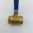 缩略图 2