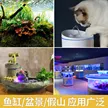 缩略图 4