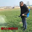 缩略图 4