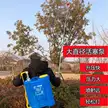 缩略图 2