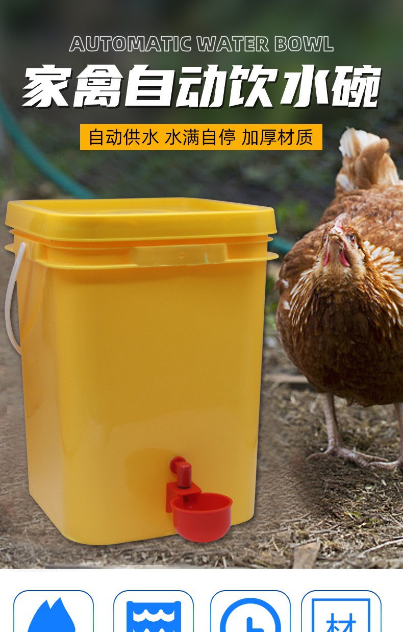 全自动鸡饮水碗家禽自动小鸡饮水器鸡水碗鸭鹅鸽子喂水养殖设备详情1