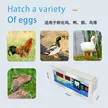 缩略图 2