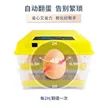 缩略图 4