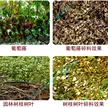 缩略图 3