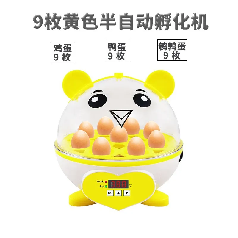主图 1