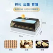 缩略图 2