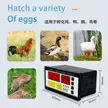 缩略图 3