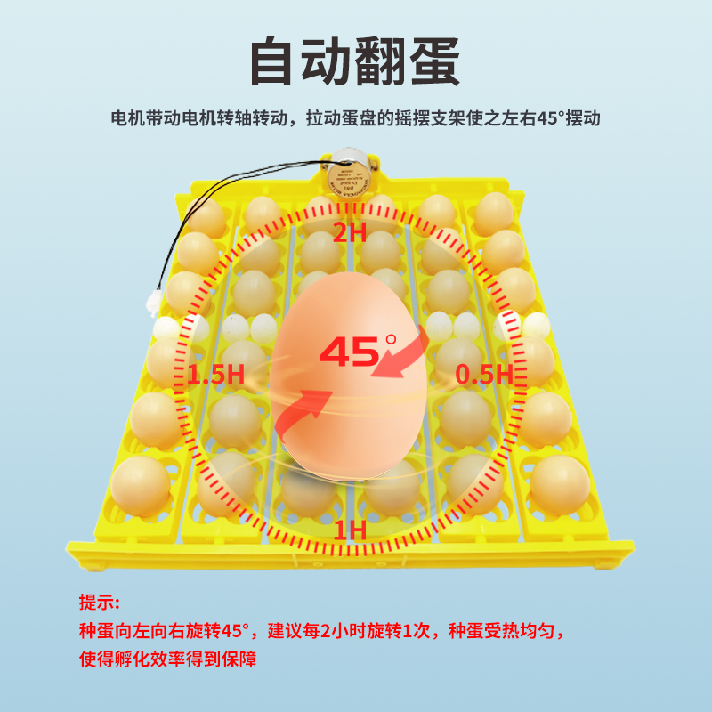 小型家用孵化器蛋盘 36枚鸡蛋托自动翻蛋 鸡鸭鹌鹑孵化蛋盘带电机详情4