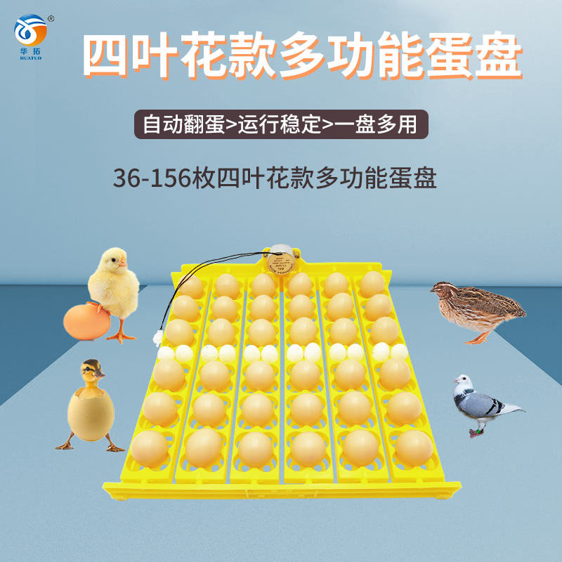 小型家用孵化器蛋盘 36枚鸡蛋托自动翻蛋 鸡鸭鹌鹑孵化蛋盘带电机详情2