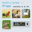 缩略图 2