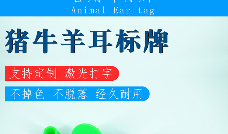 兽用耳标钳猪用耳号钳 母猪牛羊专用打耳标牌钳子 畜牧养殖业必备器械设备详情15