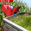 缩略图 4