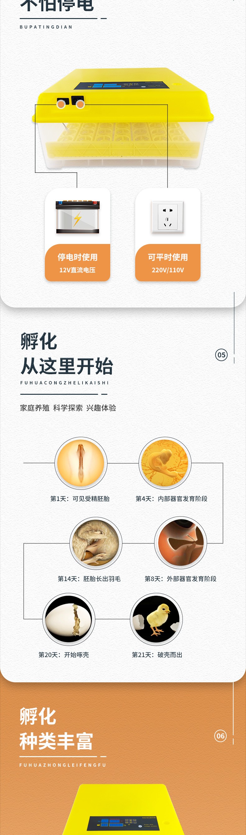  56枚双电源全自动孵化机 家用小鸡孵蛋器 小型养鸡设备鸡蛋孵化盒详情3