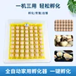 缩略图 3