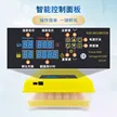 缩略图 2