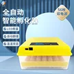 缩略图 1