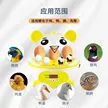 缩略图 5