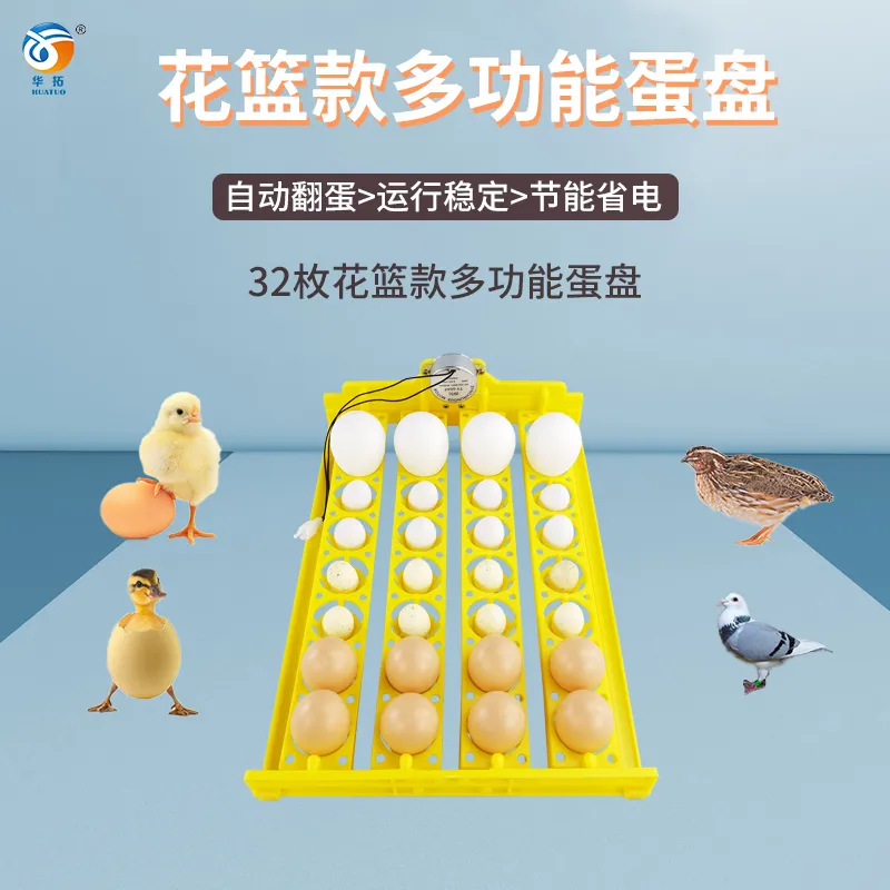 主图 1
