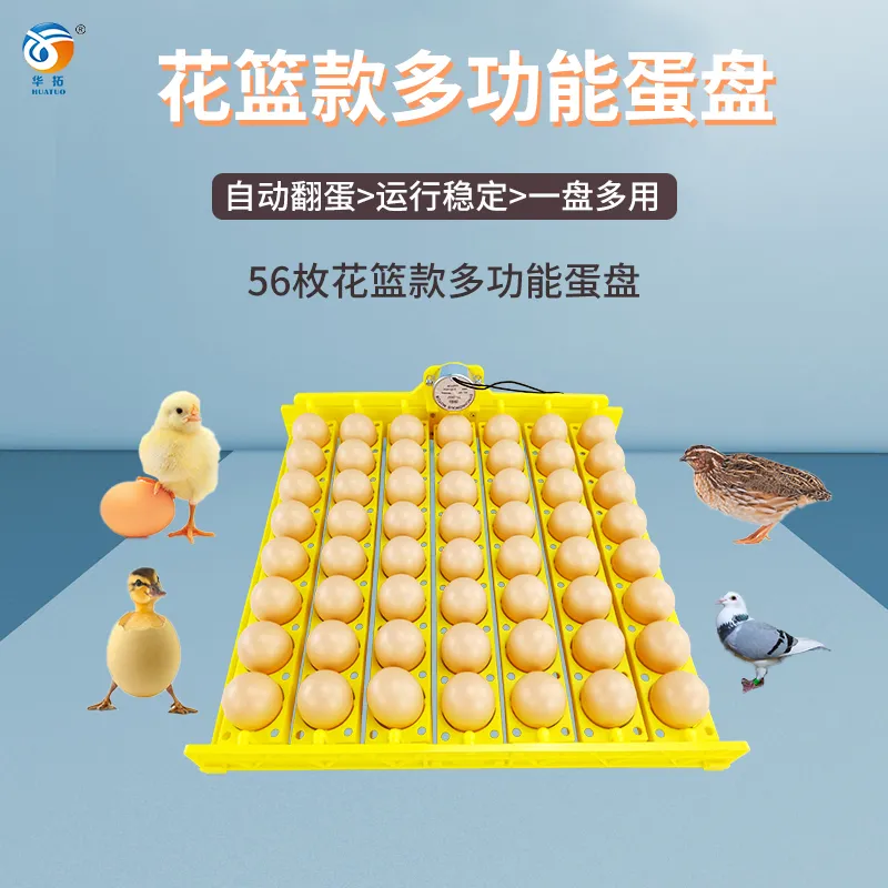 主图 1