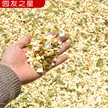 缩略图 4