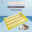 缩略图 1
