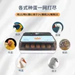 缩略图 5