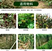 缩略图 5