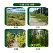 缩略图 4