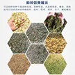 缩略图 4