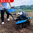 缩略图 2