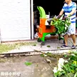 缩略图 5