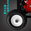 缩略图 5