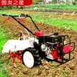 缩略图 2