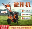 缩略图 1