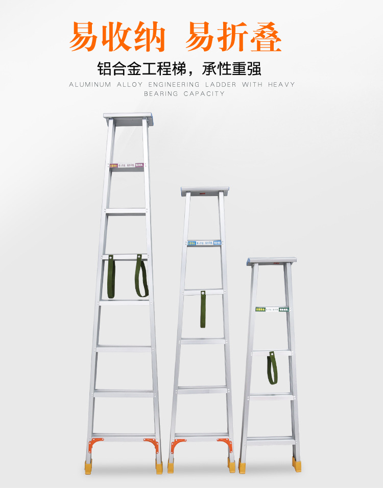 建飞B型_04