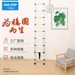 缩略图 2