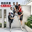 缩略图 4