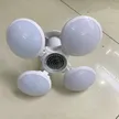 缩略图 1