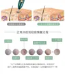 缩略图 1