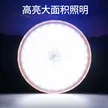 缩略图 2