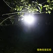 缩略图 2