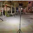 缩略图 8