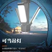 缩略图 2