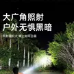 缩略图 6
