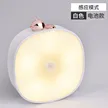 缩略图 5