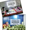 缩略图 3