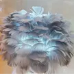 缩略图 2