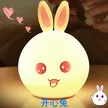缩略图 5