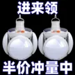 缩略图 3