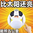 缩略图 2